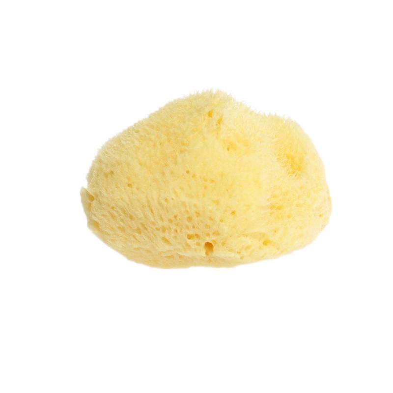 Large Natural Sponge D718-9