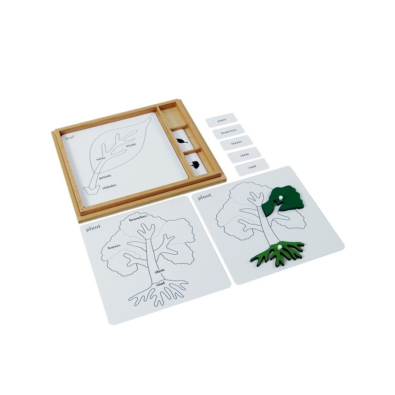 Botany Puzzle Activity Set-English B006