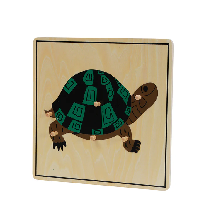 Turtle Puzzle B070
