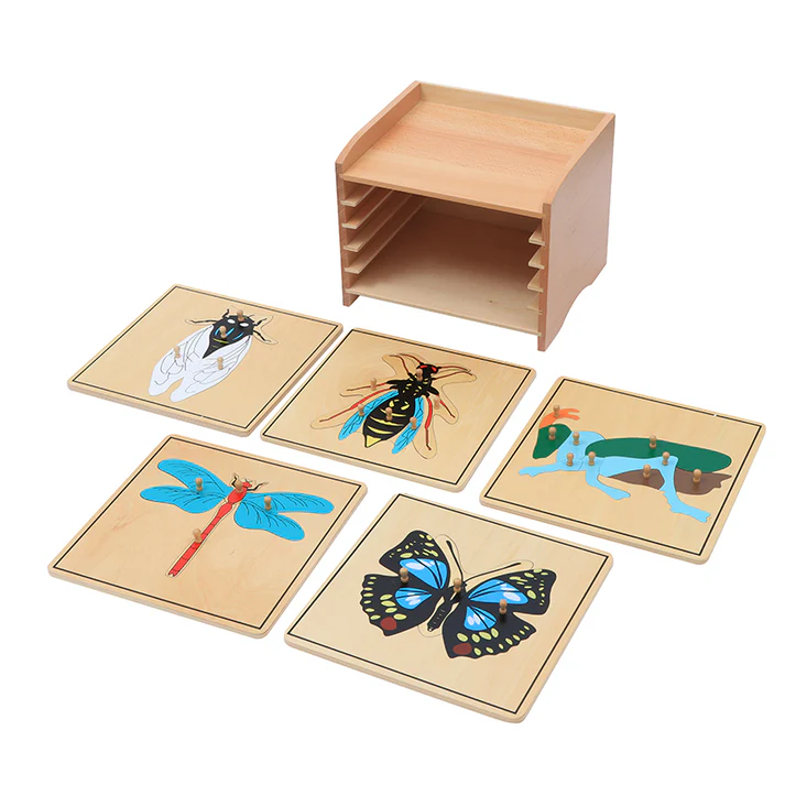 Insect Puzzle Cabinet (5 Slots)(5 Puzzles Included) B008