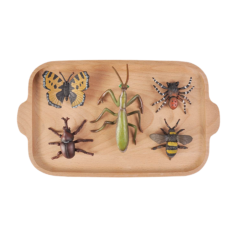 IC Language - Insect Objects ME032